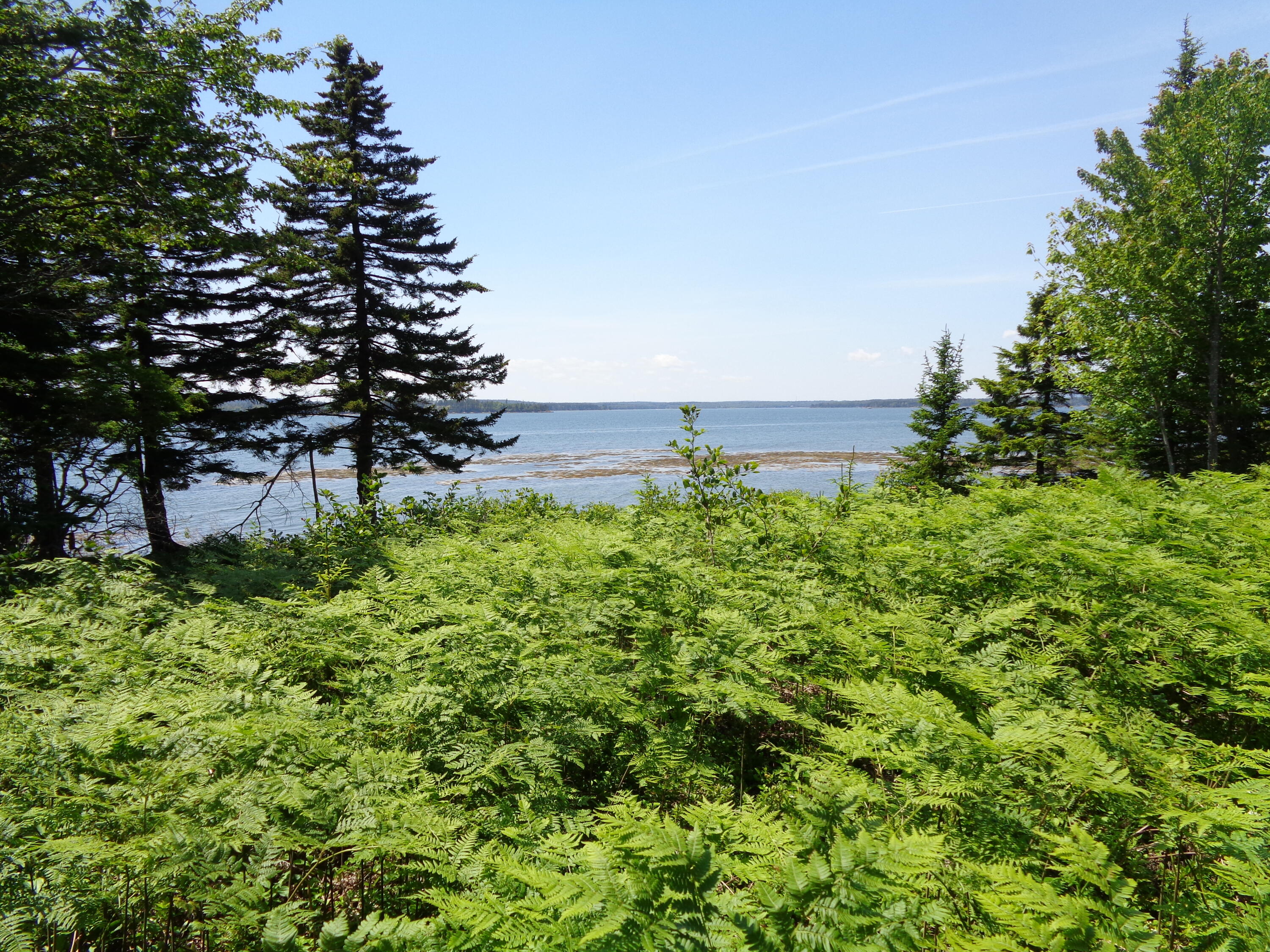 143 B Rocky Gulch Road Steuben, ME 04680 - Photo 8 of 30 3 acre lot