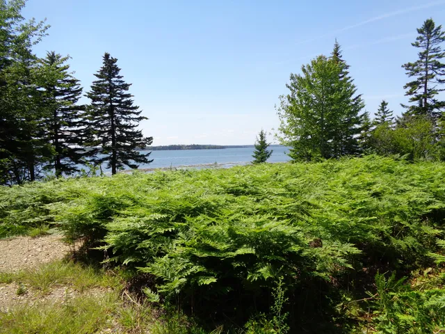 $425,000 | 143 B Rocky Gulch Road, Steuben, ME 04680