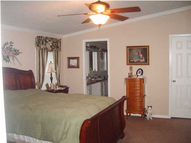 3735 Ridge Road Rayne, LA 70578 - Photo 4 of 4 Additional Photo