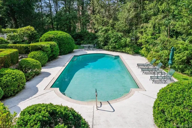 a view of a backyard with plants