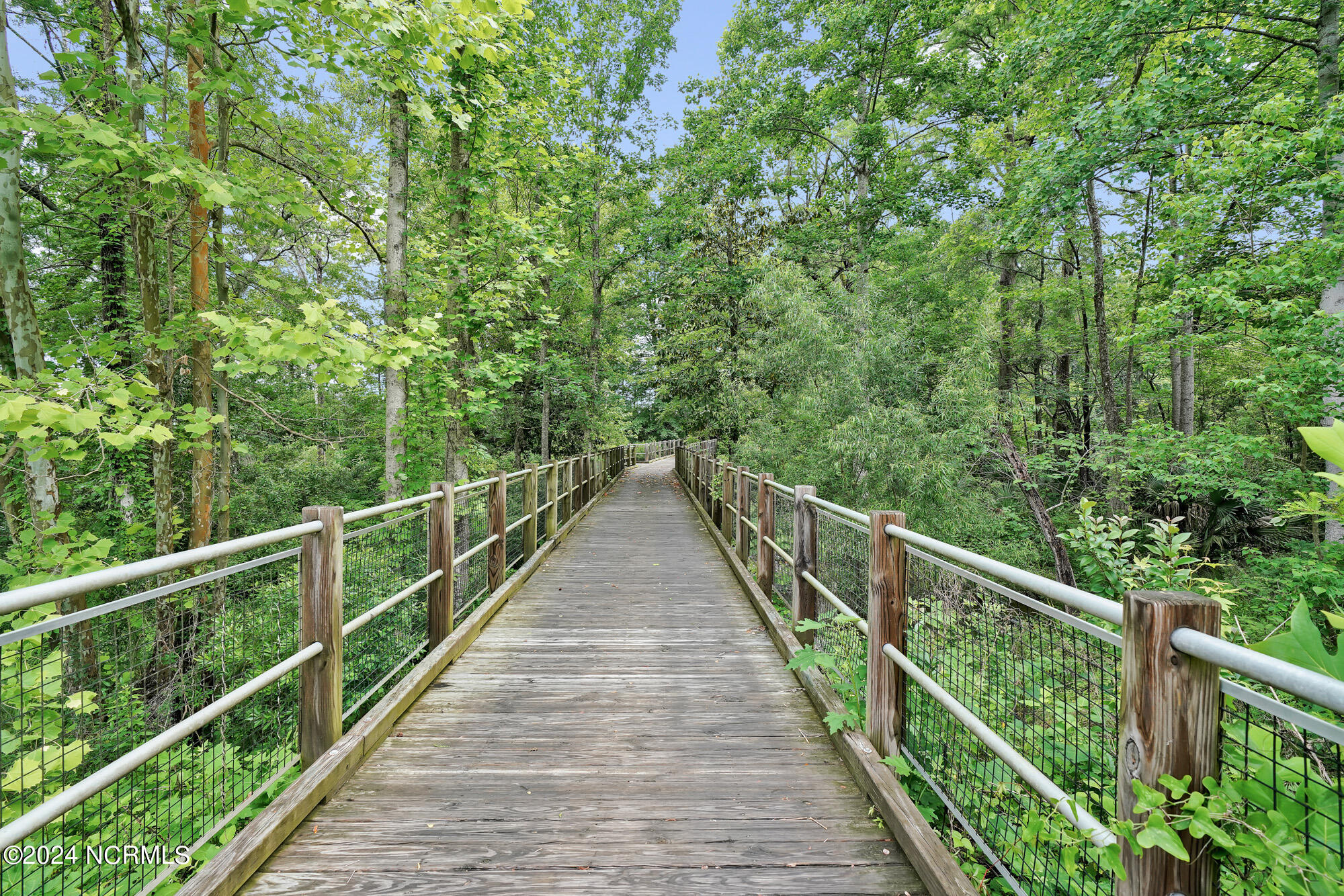 661 Chair Road Castle Hayne, NC 28429 - Photo 51 of 69 RiverBluffsAmenities-20