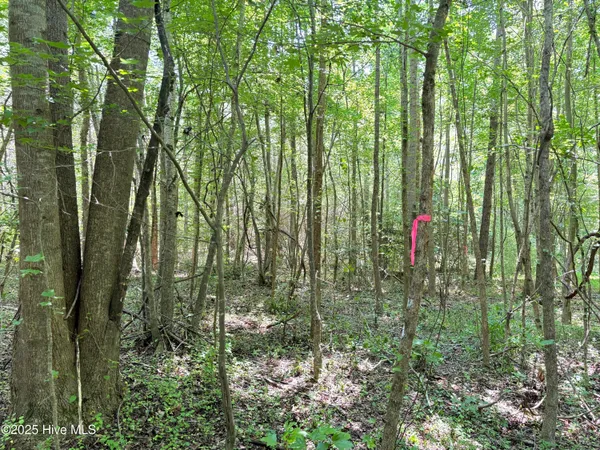 $25,000 | Lot 22 Buckhorn Church Road, Como, NC 27818