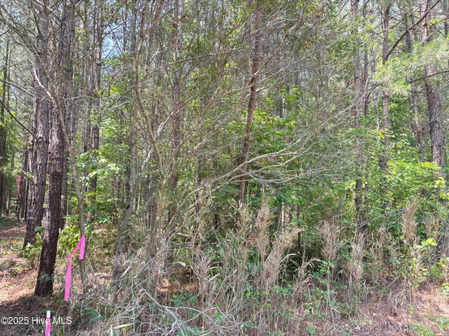 $25,000 | Lot 22 Buckhorn Church Road, Como, NC 27818