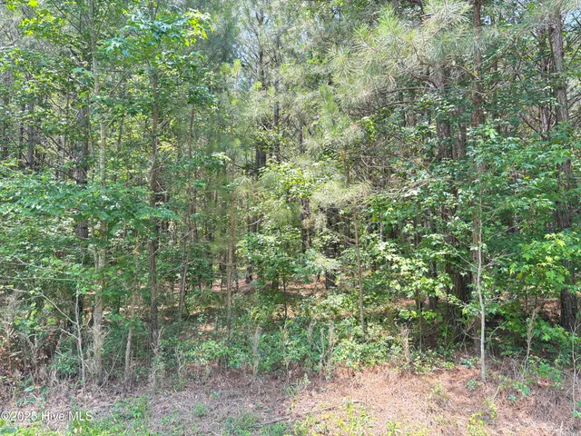 $25,000 | Lot 22 Buckhorn Church Road, Como, NC 27818