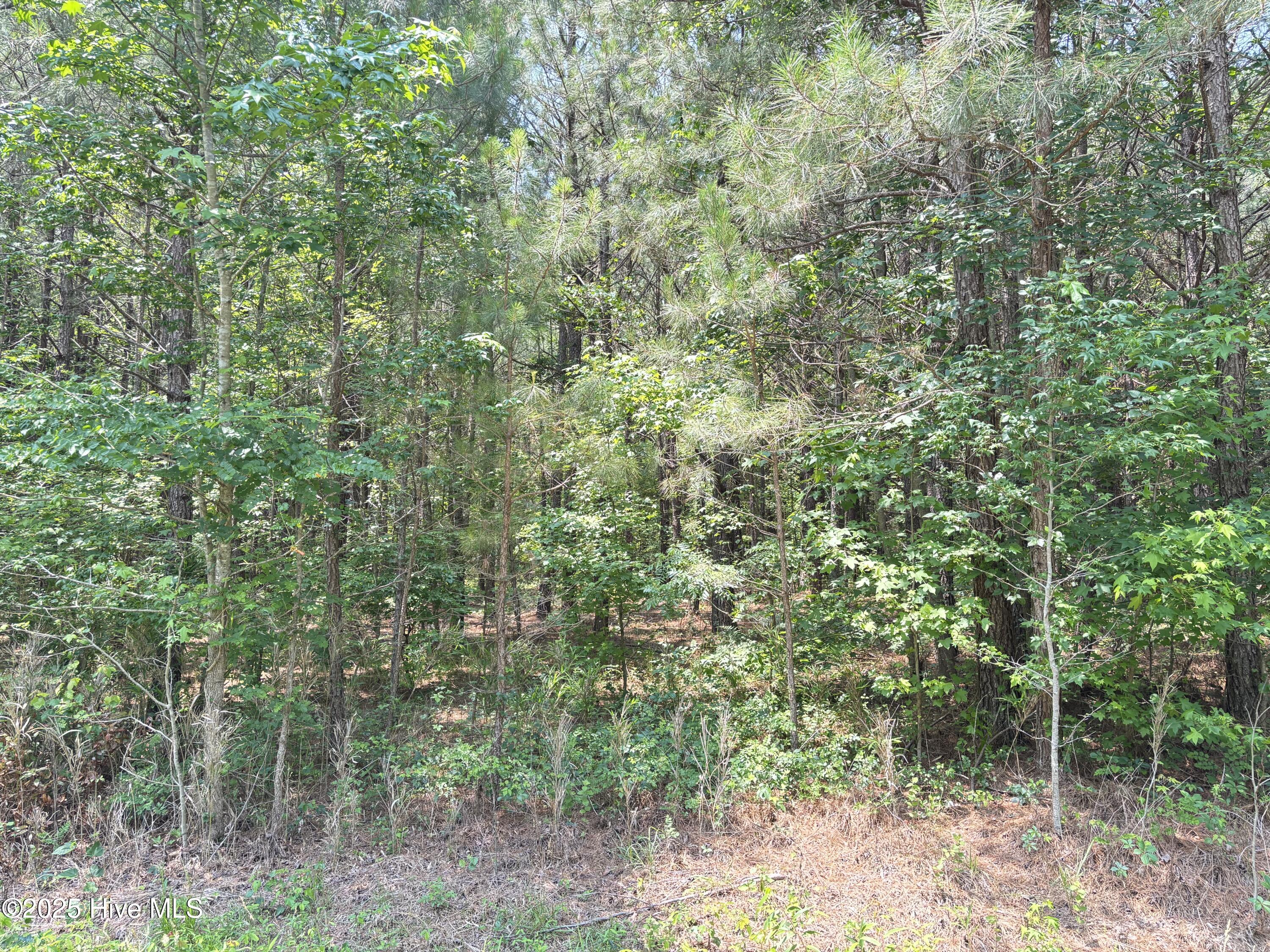 Lot 22 Buckhorn Church Road Como, NC 27818 - Photo 12 of 14 IMG_2825