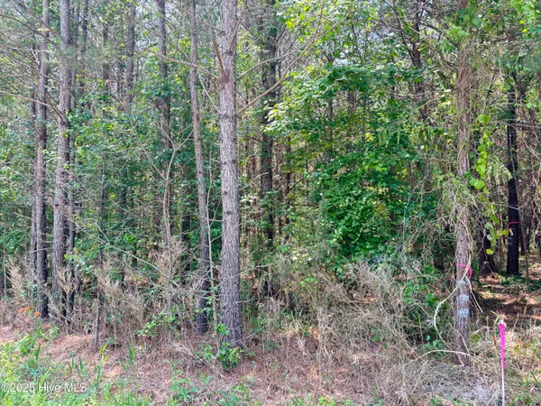 $25,000 | Lot 22 Buckhorn Church Road, Como, NC 27818