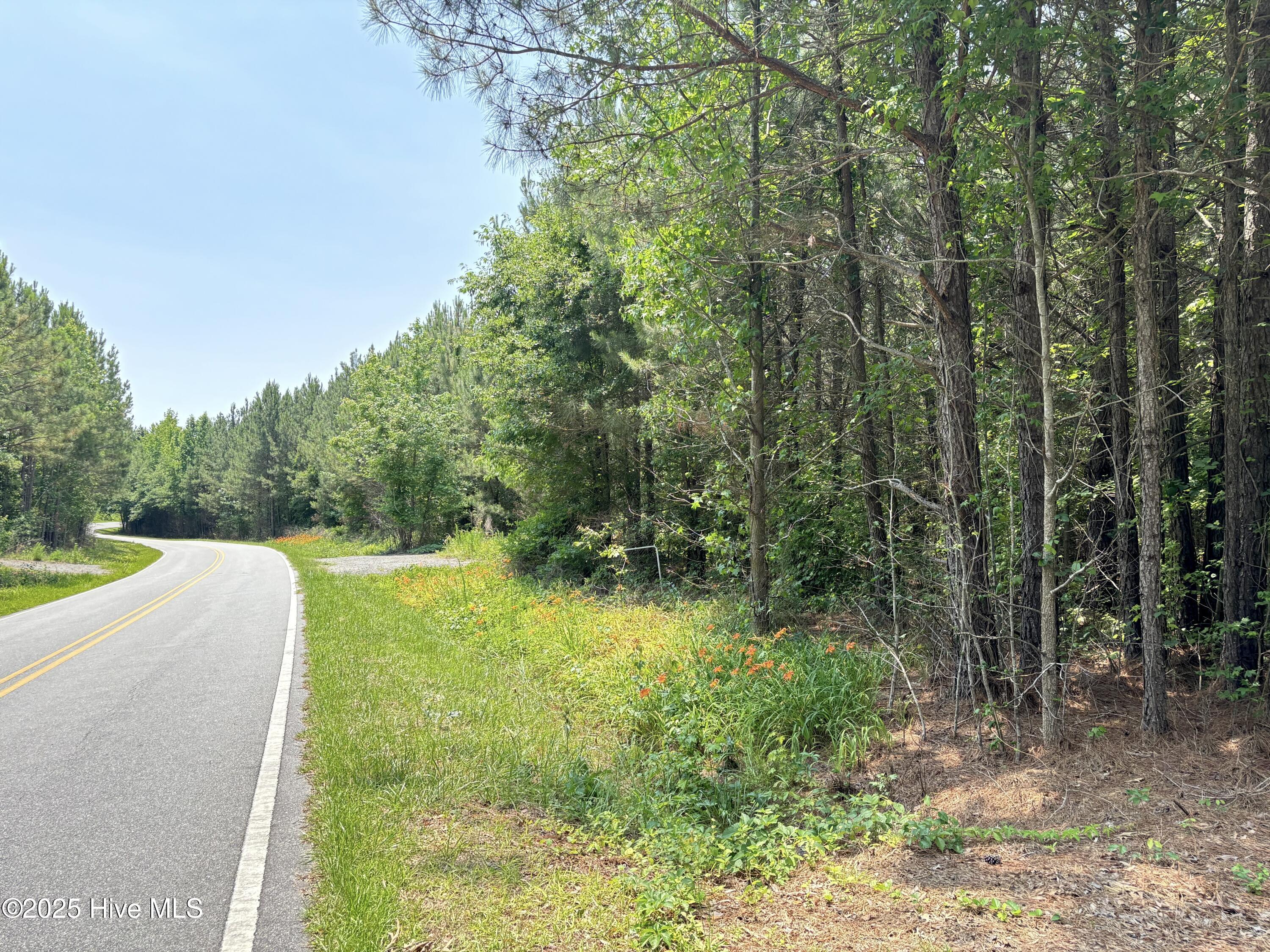 Lot 22 Buckhorn Church Road Como, NC 27818 - Photo 14 of 14 IMG_2843