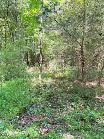 $25,000 | Lot 22 Buckhorn Church Road, Como, NC 27818
