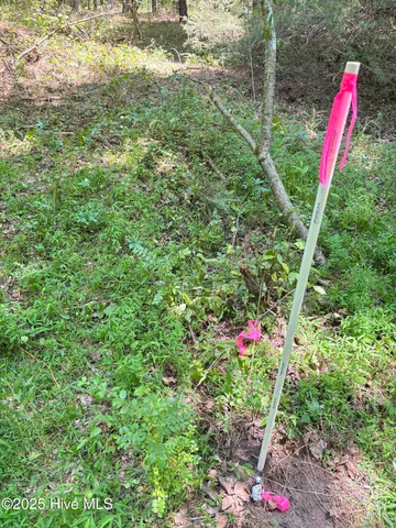 $25,000 | Lot 22 Buckhorn Church Road, Como, NC 27818