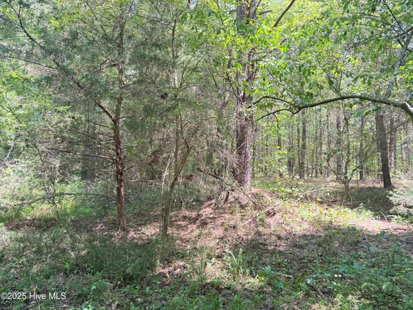 $25,000 | Lot 22 Buckhorn Church Road, Como, NC 27818