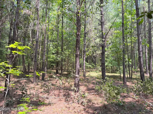 $25,000 | Lot 22 Buckhorn Church Road, Como, NC 27818