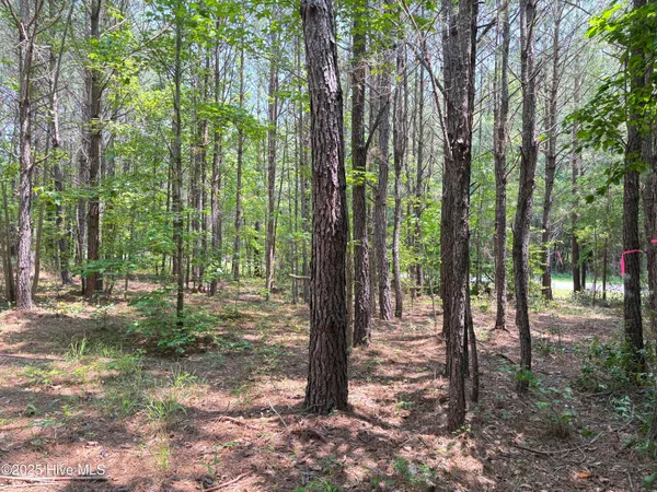 $25,000 | Lot 22 Buckhorn Church Road, Como, NC 27818