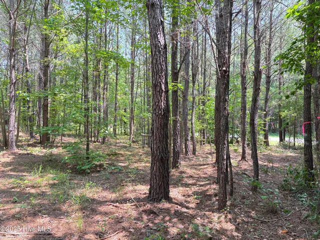 $25,000 | Lot 22 Buckhorn Church Road, Como, NC 27818