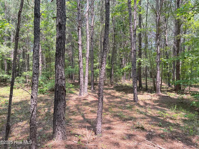 $25,000 | Lot 22 Buckhorn Church Road, Como, NC 27818