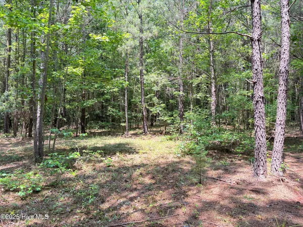 $25,000 | Lot 22 Buckhorn Church Road, Como, NC 27818
