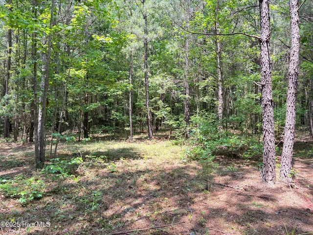 $25,000 | Lot 22 Buckhorn Church Road, Como, NC 27818