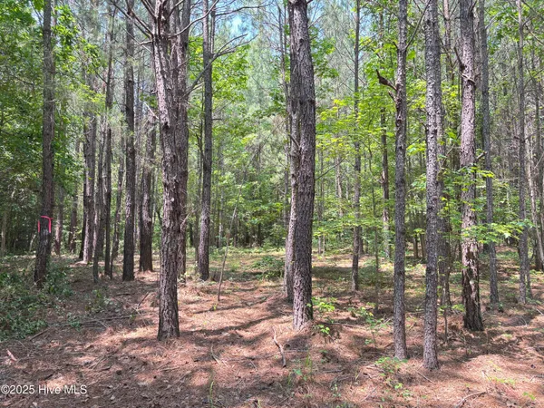 $25,000 | Lot 22 Buckhorn Church Road, Como, NC 27818