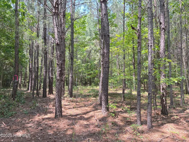 $25,000 | Lot 22 Buckhorn Church Road, Como, NC 27818