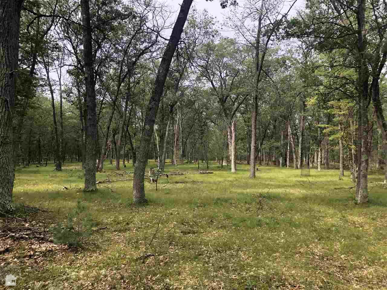 0 Carpenter Road Tawas City, MI 48748 - Photo 2 of 9