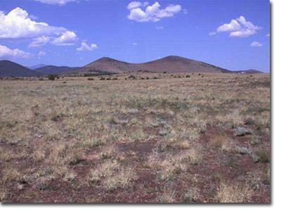 43024 Alpine Ranch Flagstaff, AZ 86004 - Photo 1 of 2 Primary Photo