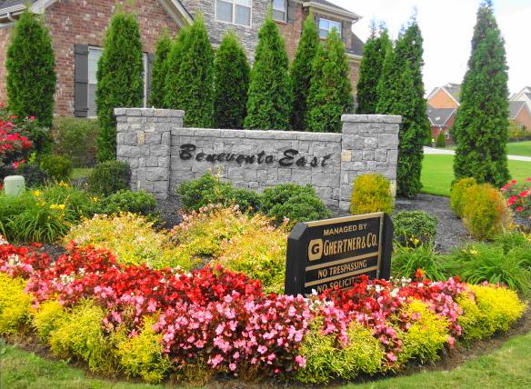 1024 Via Francesco Way, Unit 147 Spring Hill, TN 37174 - Photo 19 of 20 Gallery Image 19