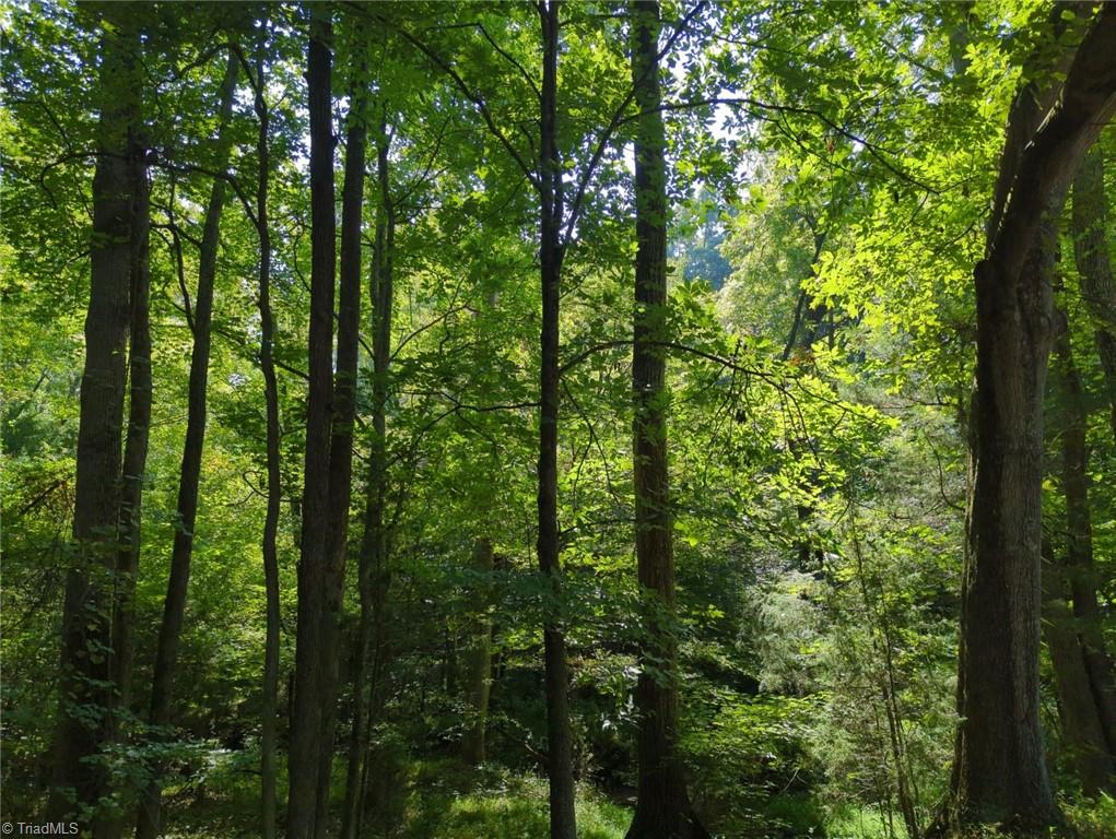 0 Powell Road Mocksville, NC 27028 - Photo 1 of 8 Gallery Image 1