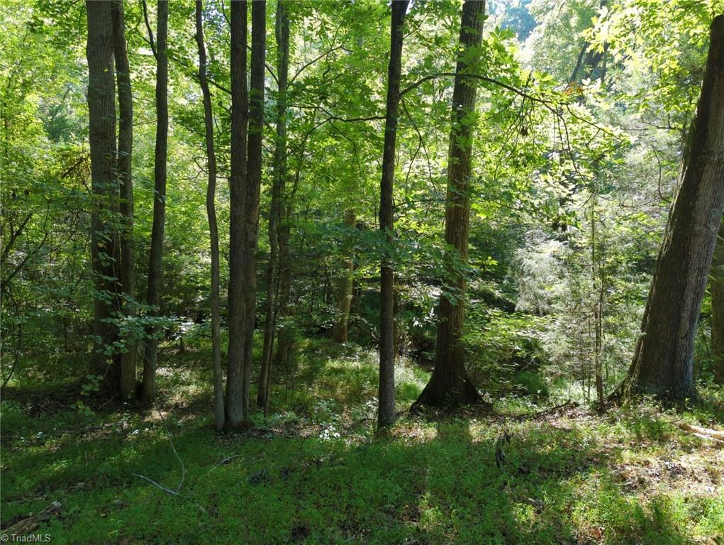 0 Powell Road Mocksville, NC 27028 - Photo 4 of 8 Gallery Image 4