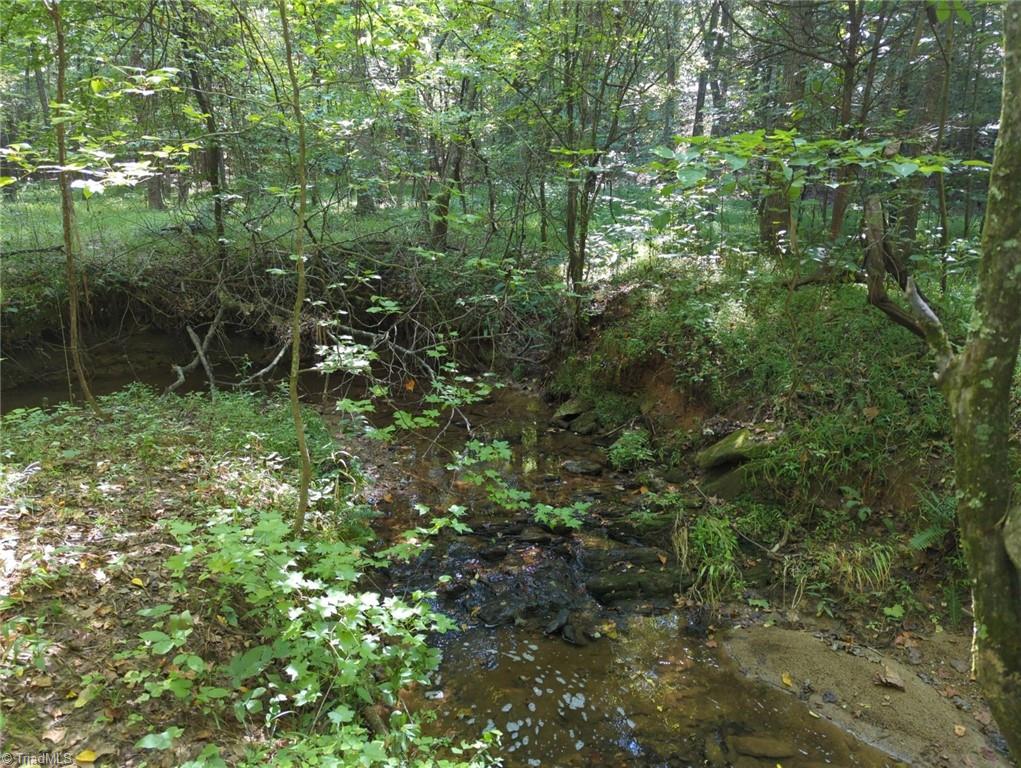 0 Powell Road Mocksville, NC 27028 - Photo 5 of 8 Gallery Image 5