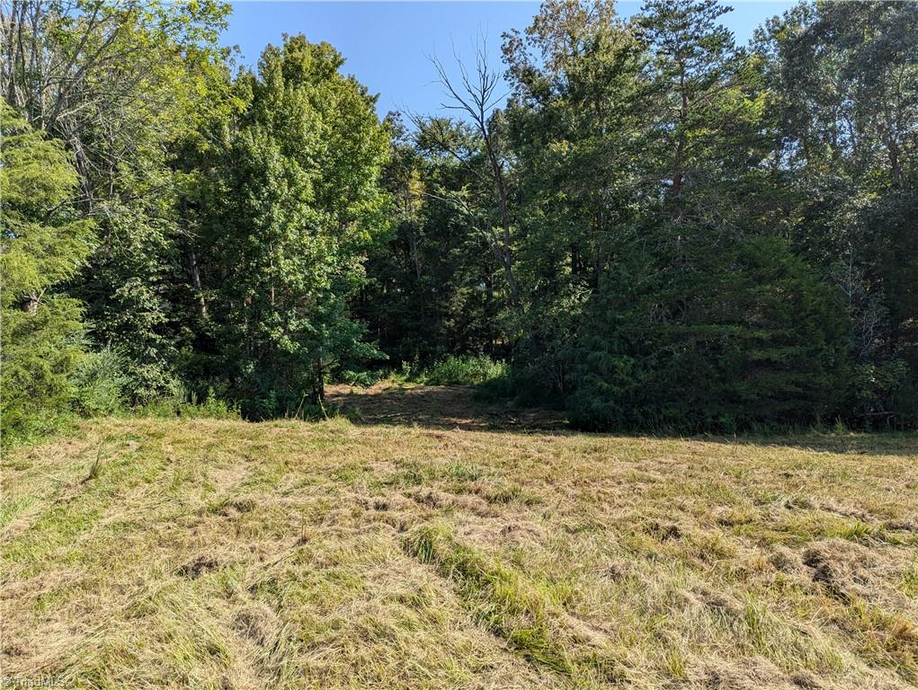 0 Powell Road Mocksville, NC 27028 - Photo 6 of 8 Gallery Image 6
