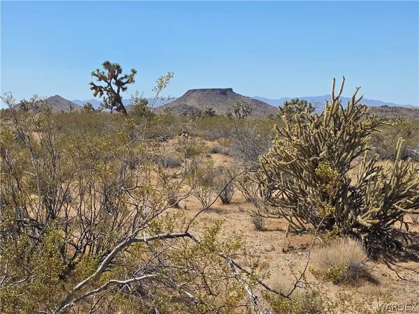 $10,400 | 244-09-190 South 244-09-190 S Mary Place, Yucca, AZ 86438