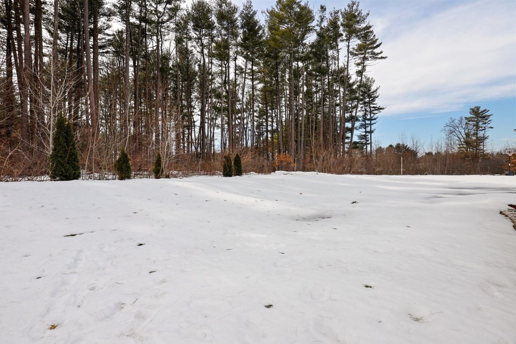 19 Jessie Road Chelmsford, MA 01824 - Photo 34 of 37 Gallery Image 34