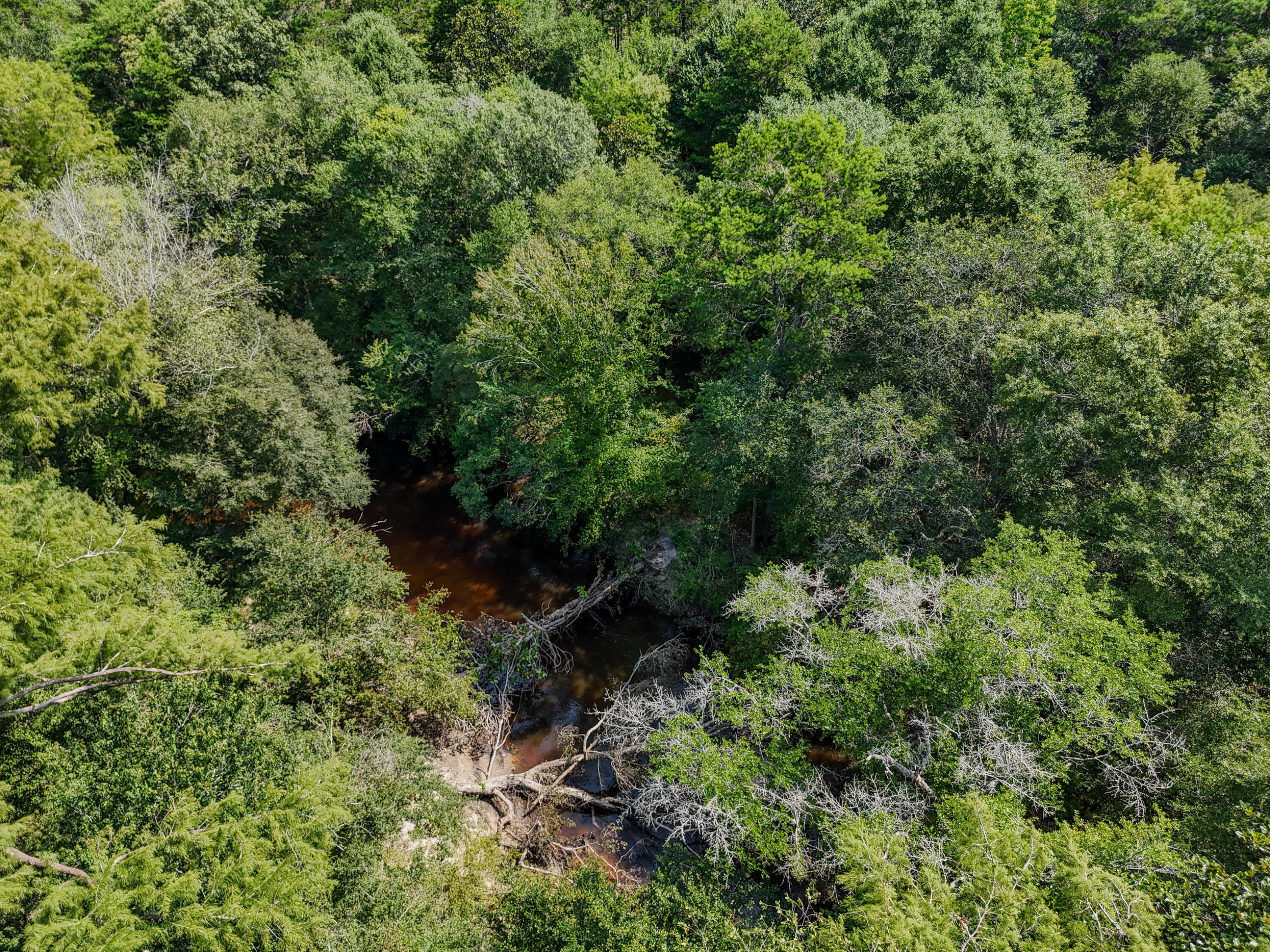 3128 County Road 10 Samson, AL 36477 - Photo 55 of 67 DJI_20260630232005_0049_D