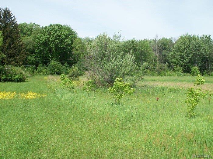 10275 Dehmel Road Birch Run, MI 48415 - Photo 20 of 20 Dehmel Rd older mobile home used