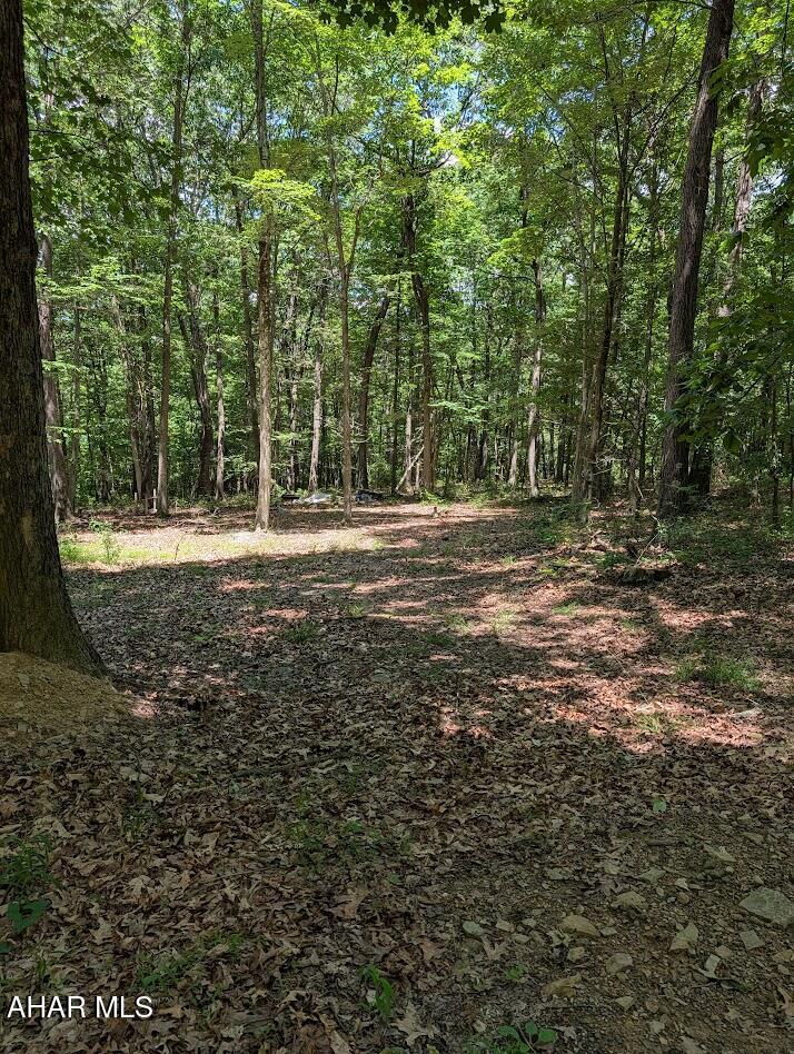 0 Mosquito Hollow Road Six Mile Run, PA 16679 - Photo 19 of 29