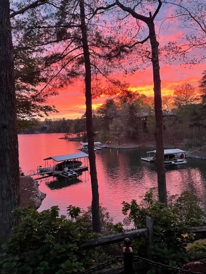 202 Passion Flower Way Sunset, SC 29685 - Photo 38 of 44