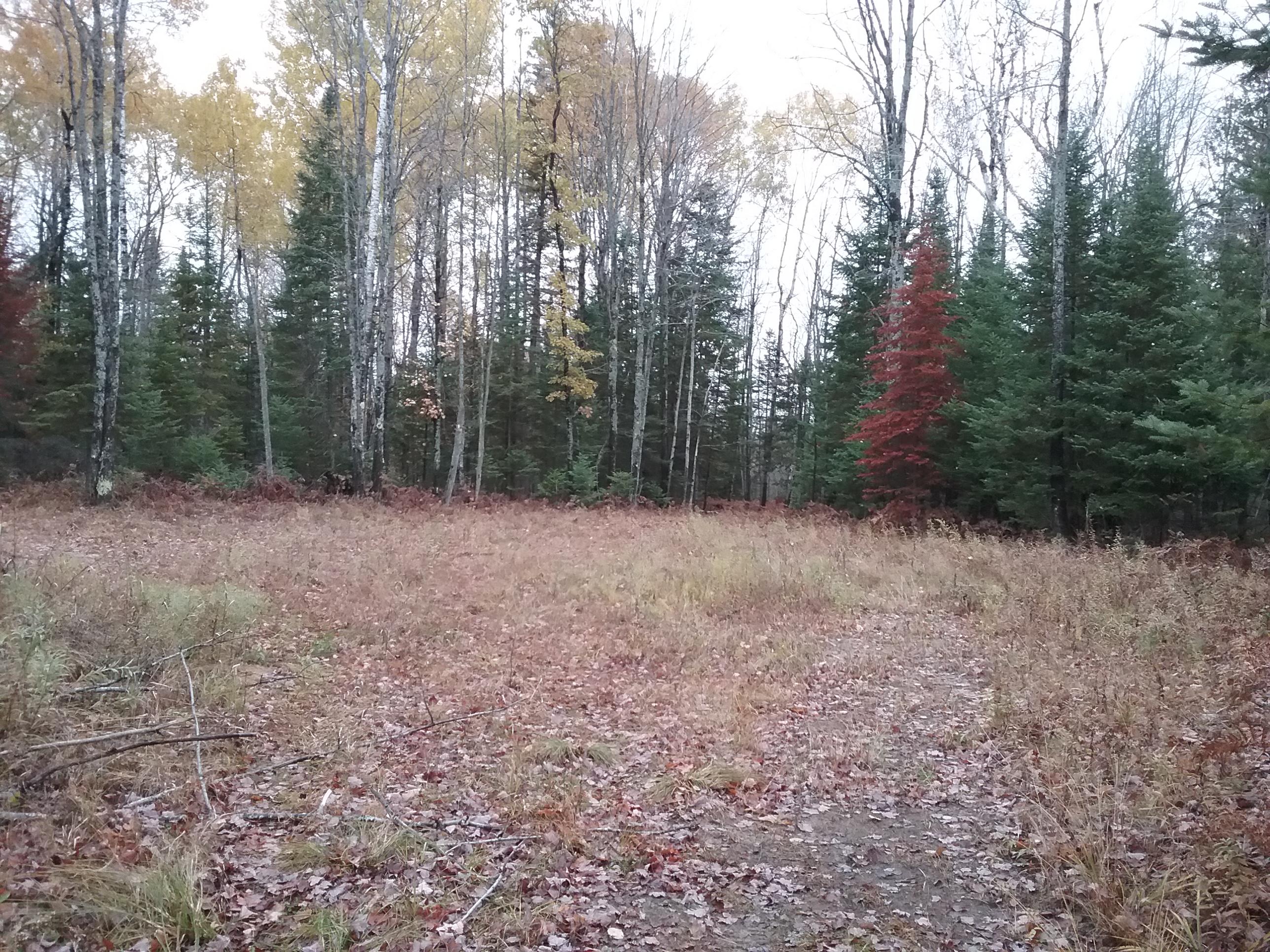 West Ostrander Road Afton, MI 49705 - Photo 2 of 11 Gallery Image 2