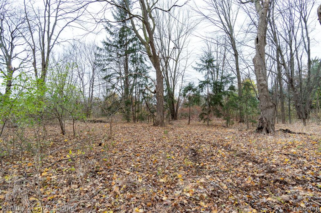Lot 2 West Walton Pontiac, MI 48340 - Photo 18 of 21