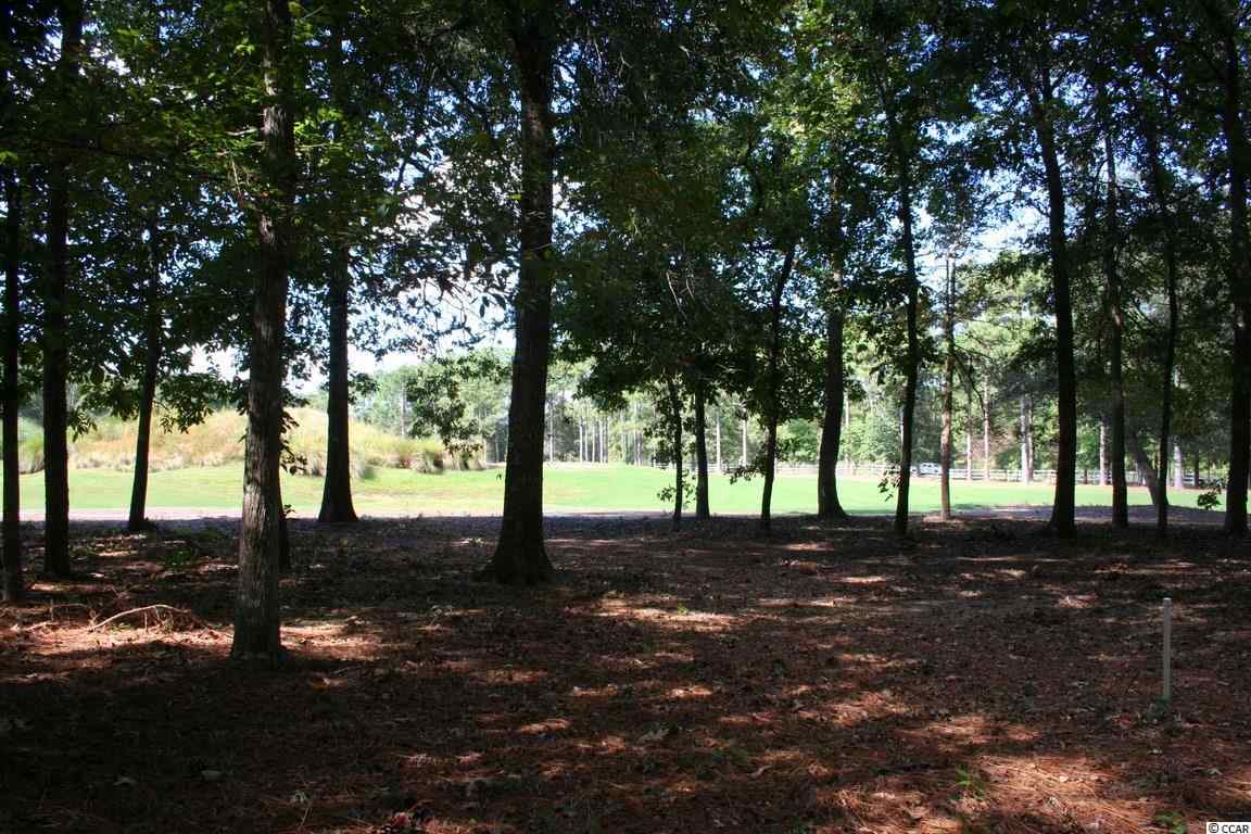 4612 Carriage Run Circle Murrells Inlet, SC 29576 - Photo 2 of 25 Gallery Image 2
