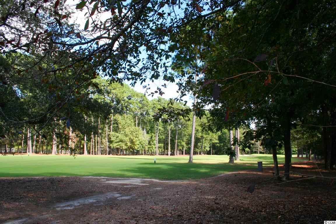 4612 Carriage Run Circle Murrells Inlet, SC 29576 - Photo 3 of 25 Gallery Image 3