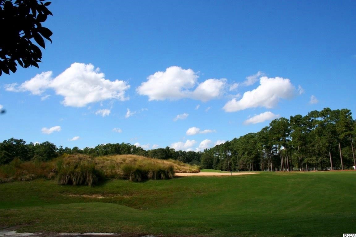 4612 Carriage Run Circle Murrells Inlet, SC 29576 - Photo 4 of 25 Gallery Image 4