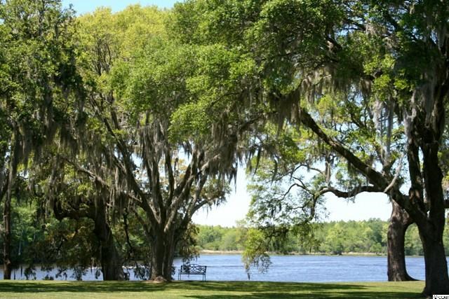 4612 Carriage Run Circle Murrells Inlet, SC 29576 - Photo 6 of 25 Gallery Image 6