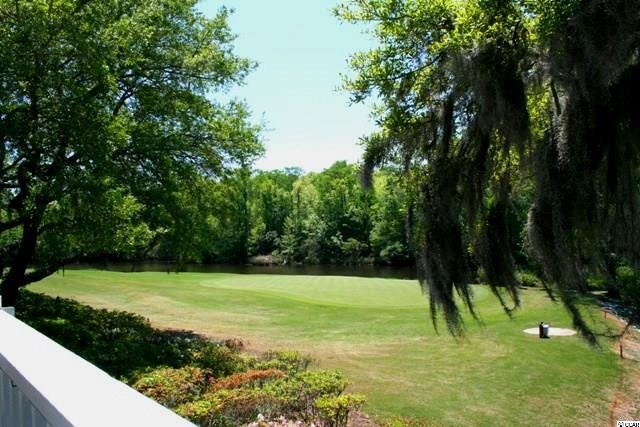 4612 Carriage Run Circle Murrells Inlet, SC 29576 - Photo 7 of 25 Gallery Image 7
