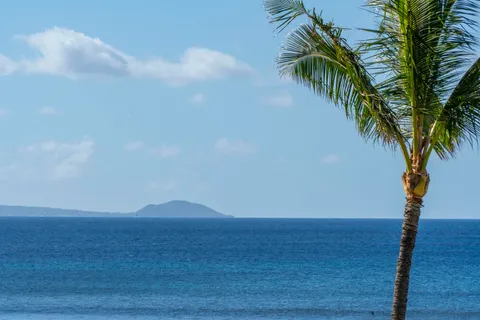 $315,000 | 30 Hauoli Street, Unit 202, Wailuku, HI 96793