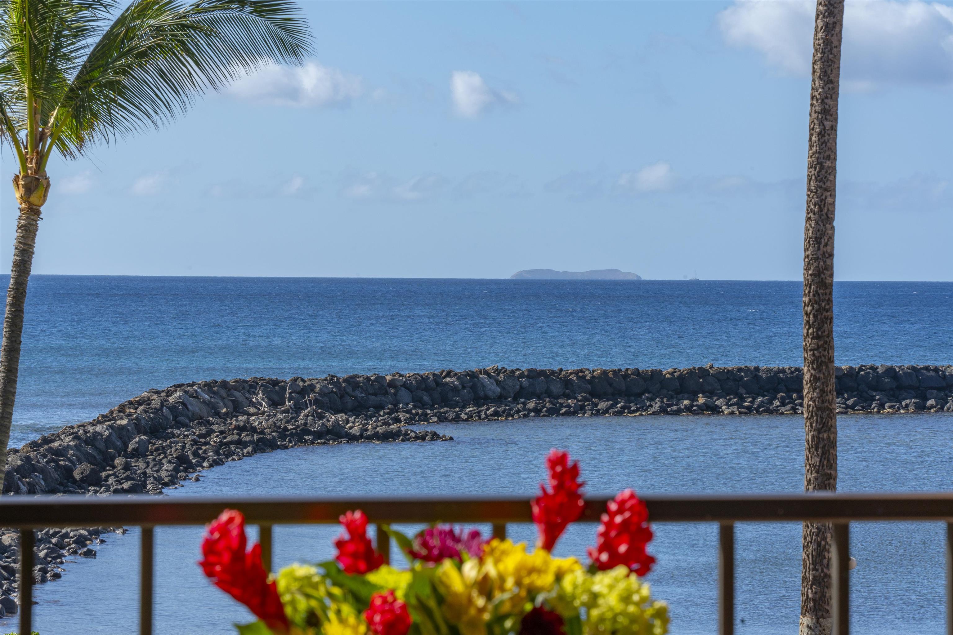 30 Hauoli Street, Unit 202 Wailuku, HI 96793 - Photo 29 of 50