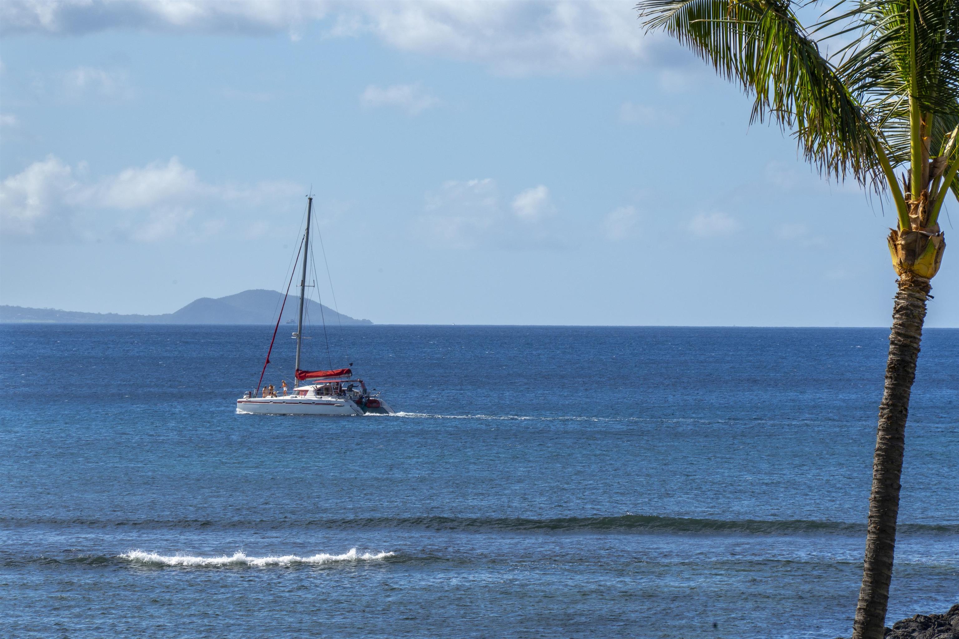 30 Hauoli Street, Unit 202 Wailuku, HI 96793 - Photo 32 of 50
