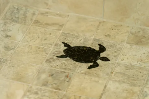 $315,000 | 30 Hauoli Street, Unit 202, Wailuku, HI 96793