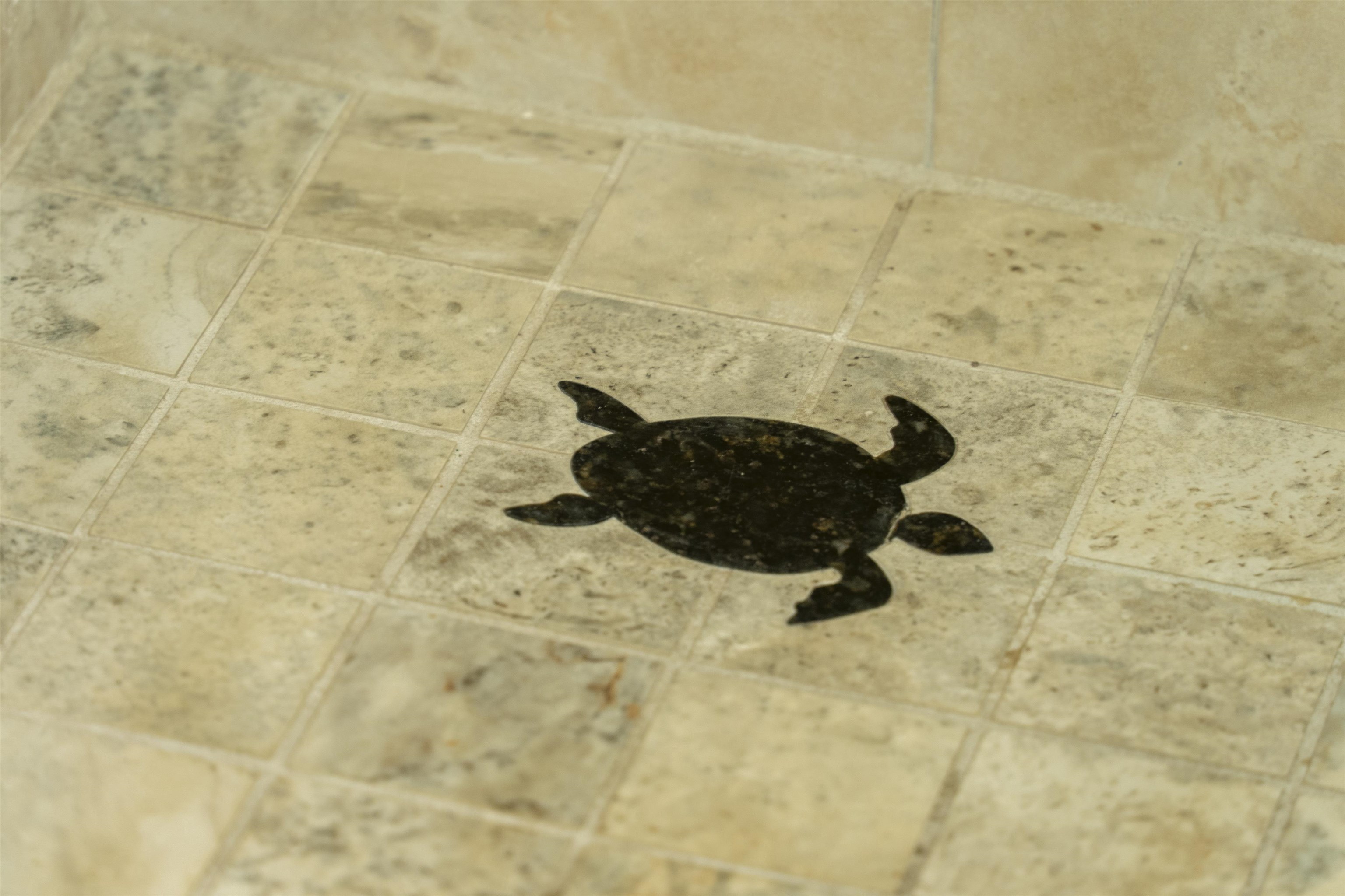 30 Hauoli Street, Unit 202 Wailuku, HI 96793 - Photo 40 of 50