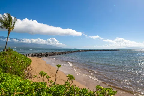 $315,000 | 30 Hauoli Street, Unit 202, Wailuku, HI 96793