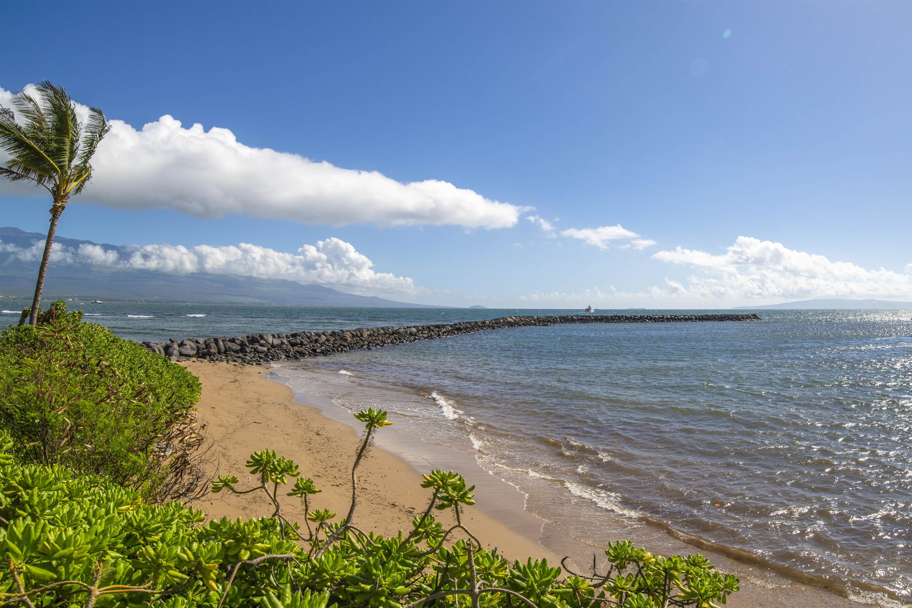 30 Hauoli Street, Unit 202 Wailuku, HI 96793 - Photo 49 of 50