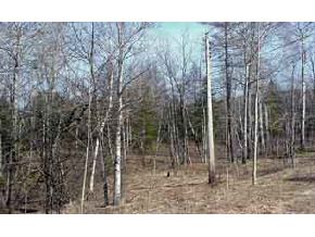 - Pinkham Rd Mountain Road Burke, VT 05832 - Photo 3 of 4